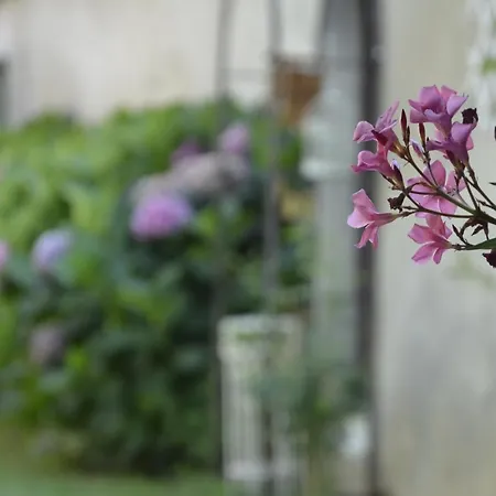 Dom wakacyjny Albero Della