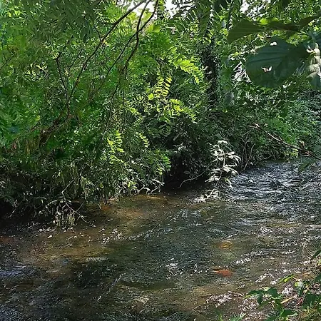 Hébergement de vacances Albero Della Coni