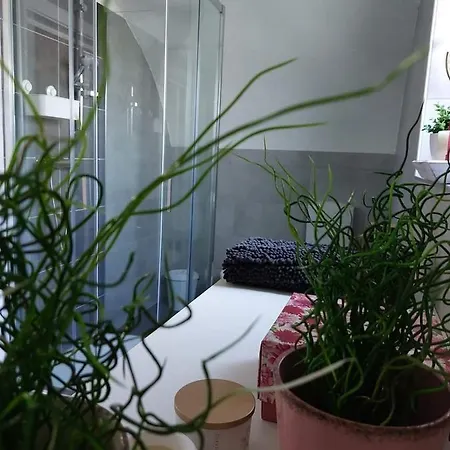 بيت للعطل Albero Della