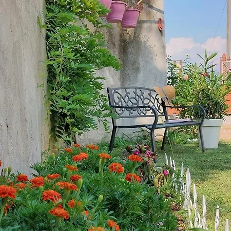 Albero Della クーネオ