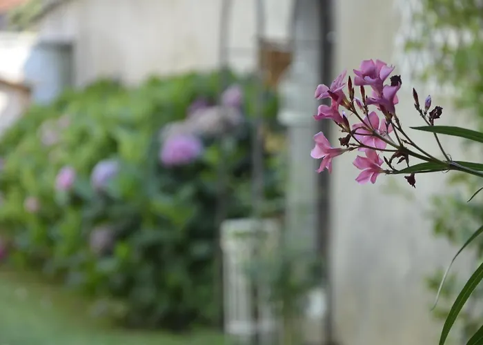 Holiday home Albero Della